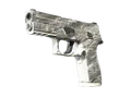 P250 | Sleet (Minimal Wear)