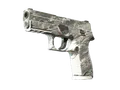 P250 | Sleet (Well-Worn)