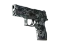 P250 | Steel Disruption (Field-Tested)