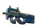 P90 | Blind Spot (Well-Worn)