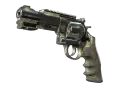 R8-revolver | Bone Mask (Kampvansiret)