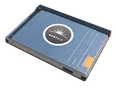 Sealed Genesis Terminal