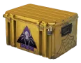 Shattered Web Case