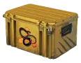 Snakebite Case