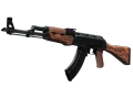 Souvenir AK-47 | Cartel (Field-Tested) skin