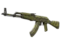 Souvenir AK-47 | Olive Polycam (Field-Tested) skin