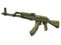 Souvenir AK-47 | Olive Polycam (Minimal Wear) skin