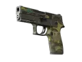 Souvenir P250 | Boreal Forest (Stridsärrad) skin