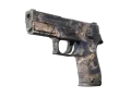 Souvenir P250 | Drought (Well-Worn)