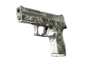 Souvenir P250 | Sleet (Battle-Scarred) skin