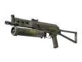 Souvenir PP-Bizon | Anolis (Battle-Scarred)