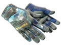 ★ Uzman Eldivenleri | Mogul (Görevde Kullanılmış) skin