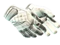 ★ Specialist Gloves | Pillow Punchers (Minimal Wear)