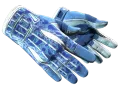 ★ Sport Gloves | Amphibious (Factory New)