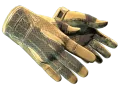 ★ Sport Gloves | Arid (Factory New) skin