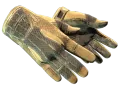 Gants de sport (★) | Aride (Testée sur le terrain)