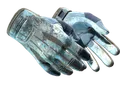 ★ Sport Gloves | Frosty (Factory New)