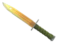 ★ StatTrak™ Bayonet | Lore (Factory New)