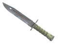 StatTrak™ Baïonnette (★) | Aspect rouillé (Usée)
