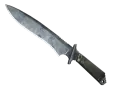 ★ StatTrak™ Classic Knife | Stained (Factory New) skin