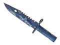StatTrak™ Baïonnette M9 (★) | Eau vive (Usée)