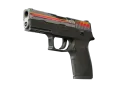 StatTrak™ P250 | Cassette (Well-Worn) skin