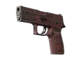 StatTrak™ P250 | Schadstoff (Einsatzerprobt) skin