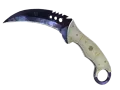 ★ StatTrak™ Talon Knife | Doppler (Factory New)