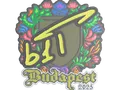 Sticker | b1t (Embroidered) | Budapest 2025 skin