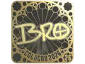 Sticker | br0 (Gold, Ranked) | Cologne 2026 skin