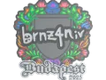 Sticker | brnz4n (Embroidered) | Budapest 2025 skin