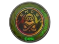Sticker | ENCE (Holo) | Katowice 2019 skin
