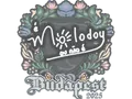 Sticker | molodoy | Budapest 2025