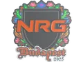 Sticker | NRG (Embroidered) | Budapest 2025