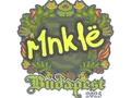 Sticker | r1nkle | Budapest 2025 skin