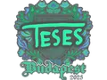 Sticker | TeSeS | Budapest 2025