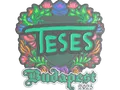 Sticker | TeSeS (Embroidered) | Budapest 2025
