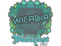 Sticker | Wicadia | Budapest 2025