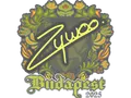 Sticker | ZywOo | Budapest 2025