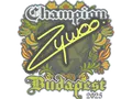 Sticker | ZywOo (Champion) | Budapest 2025
