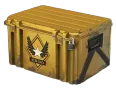 Winter Offensive Weapon Case