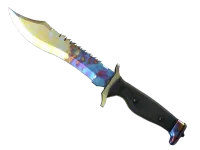 ★ Bowie Knife | Case Hardened (Factory New)