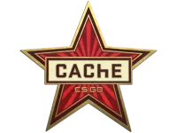 Cache Pin