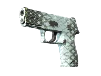 P250 | Mint Kimono (Factory New)