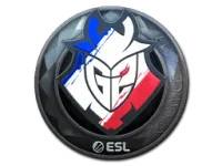 Sticker | G2 Esports (Foil) | Katowice 2019