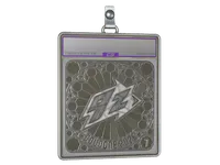 印花板 | 9z Team (Foil, Ranked) | Cologne 2026 skin
