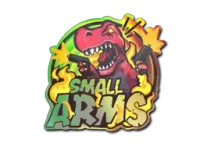 Sticker | Small Arms (Holo)