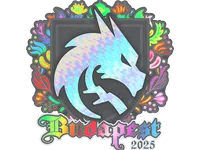 Sticker | Team Spirit (Holo) | Budapest 2025