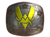 Sticker | Vitality (Foil) | Austin 2025