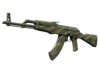 AK-47 | Jungle Spray (Com Muito Uso) skin